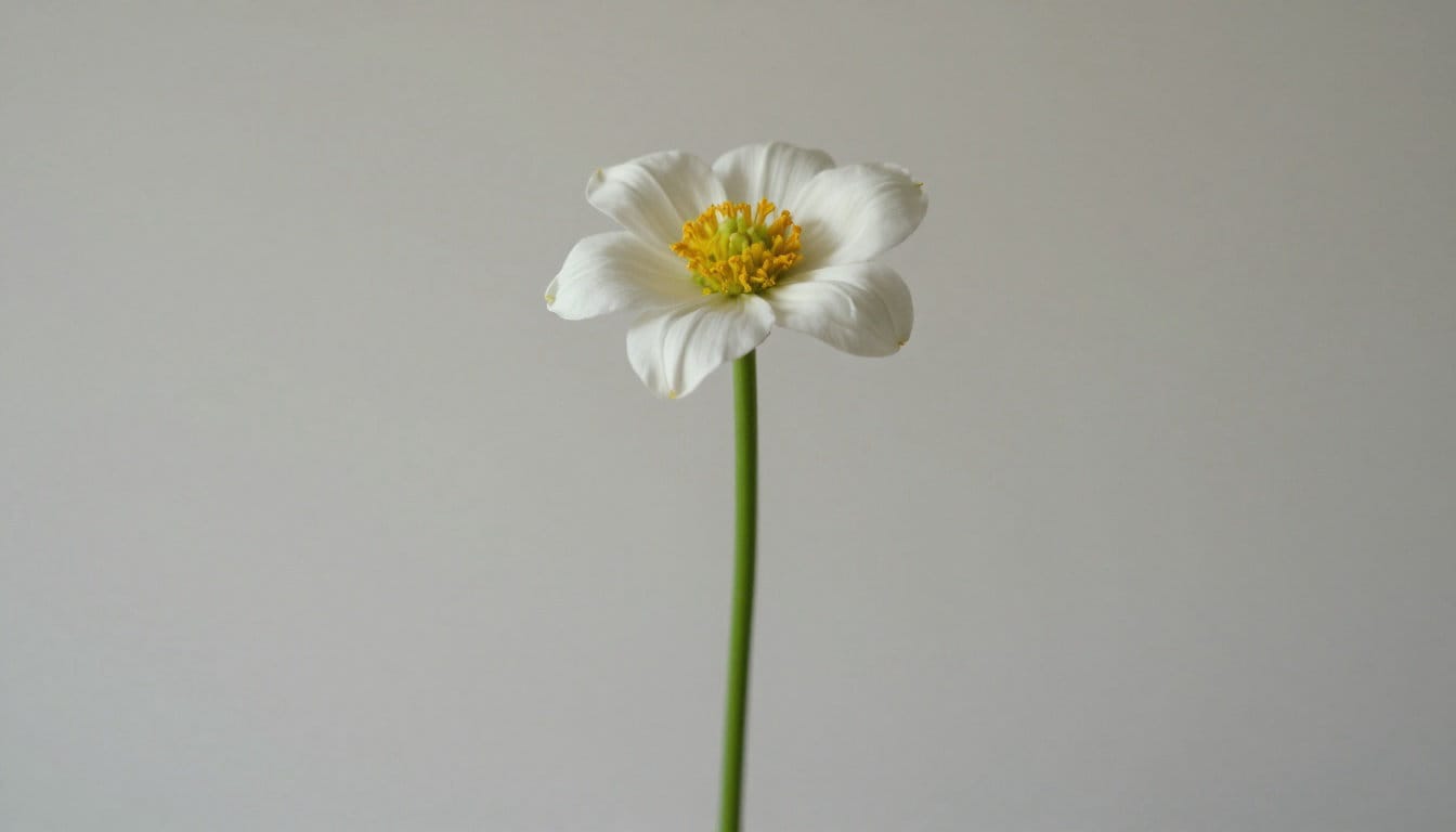 Féminisme et politique : ce qui se cache derrière ce clash médiatique